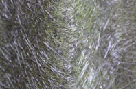 Bestwood Village fibreglass roof work